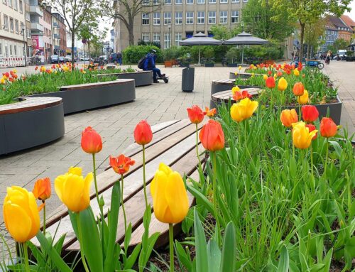 Tulpenüberschwang und Stadtleben – Der Angoulêmeplatz erblüht neu